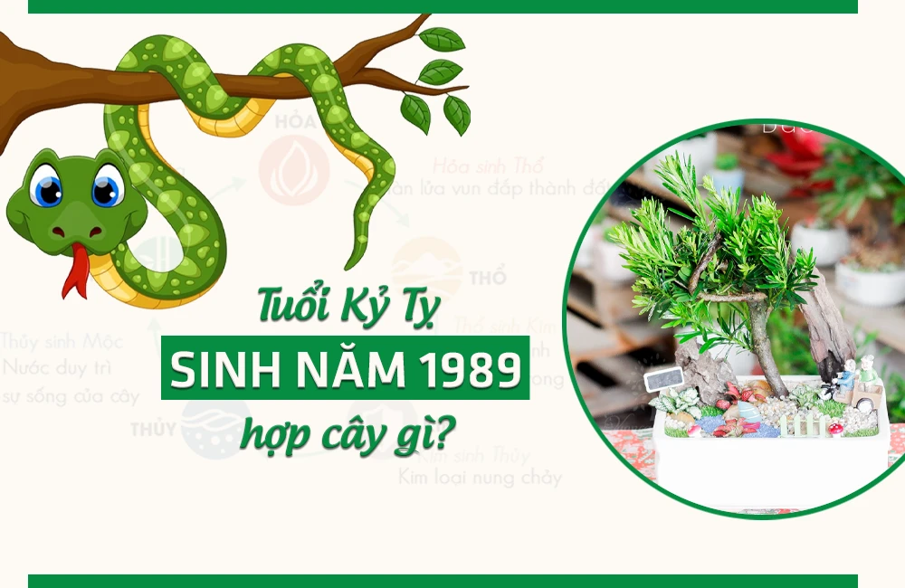 Tuổi Kỷ Tỵ 1989 hợp cây gì? Cây hợp tuổi Tỵ 1989 năm 2024