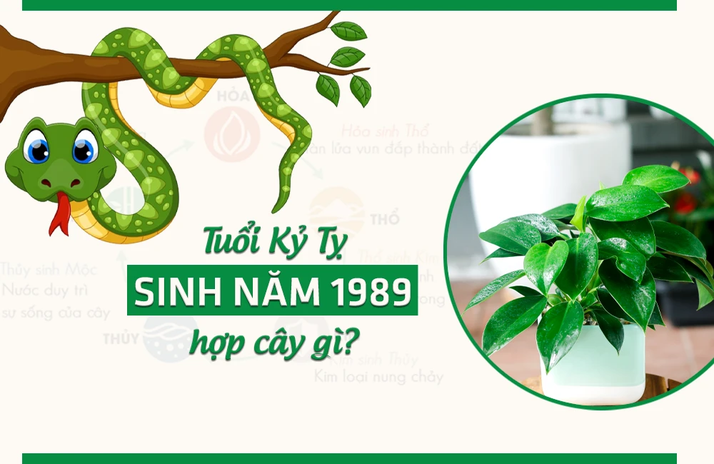 Cây hợp mệnh Mộc 1989