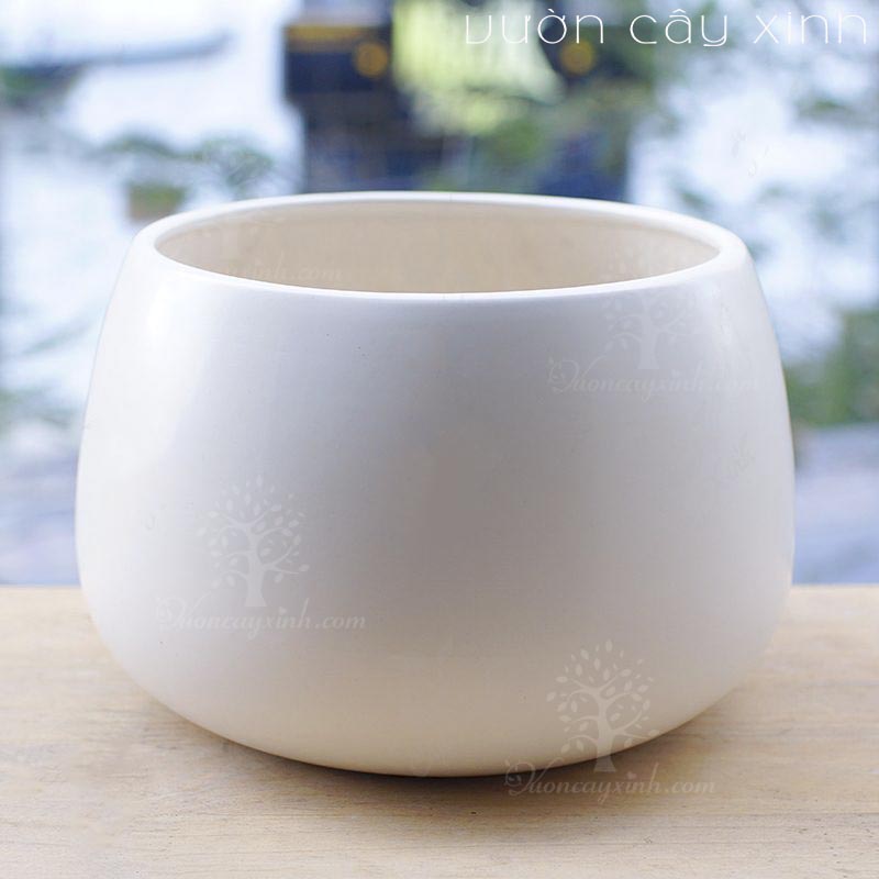 chau-gom-su-hat-de-s1 Chậu Gốm Sứ Hạt Dẻ S1