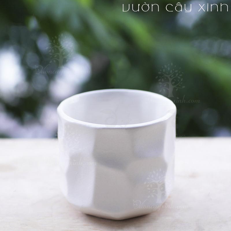 chau-gom-su-mat-na-s2 Chậu Gốm Sứ Mắt Na S2