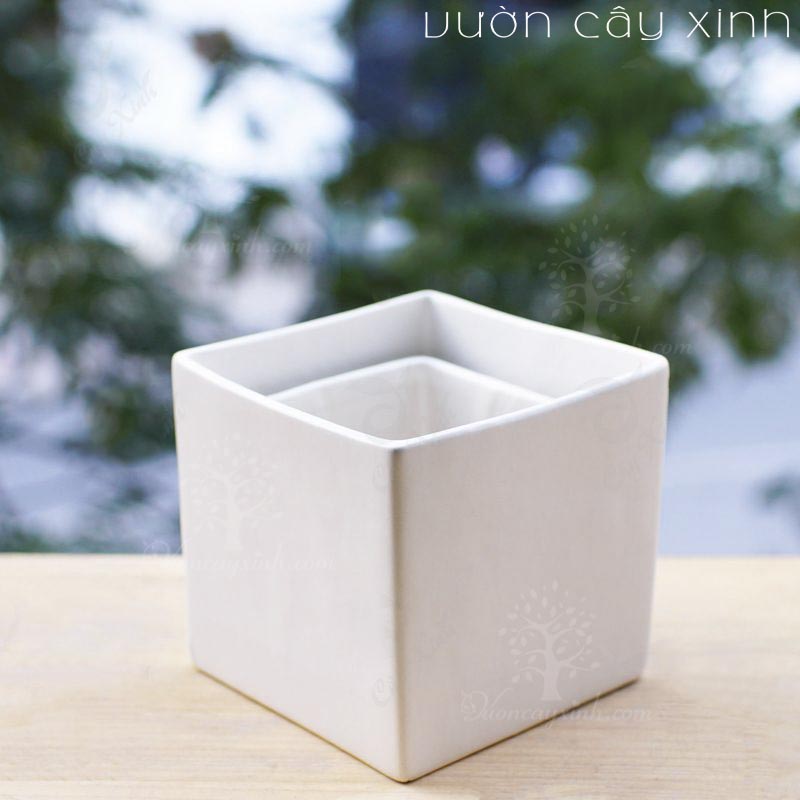 chau-gom-su-vuong-01 Chậu Gốm Sứ Vuông