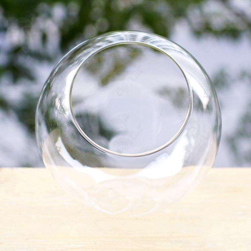 chau-thuy-tinh-tron-vat Chậu Thủy Tinh Tròn Vát | Chậu thủy tinh trồng cây