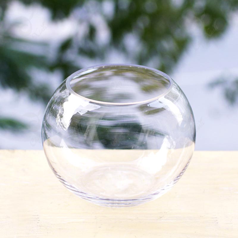 chau-thuy-tinh-tron Chậu Thủy Tinh Tròn | Chậu thủy tinh trồng cây