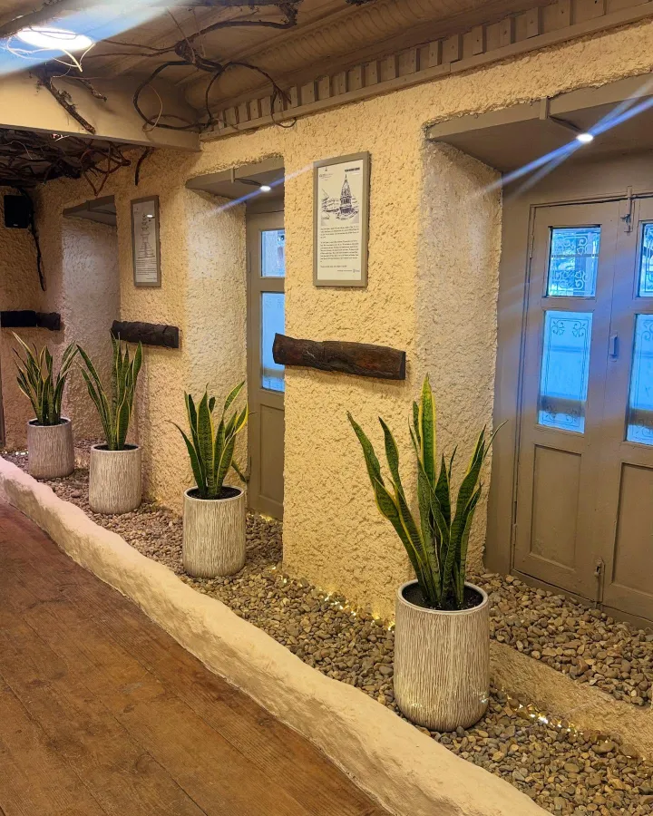 Trồng cây lưỡi hổ trước nhà có tốt không?