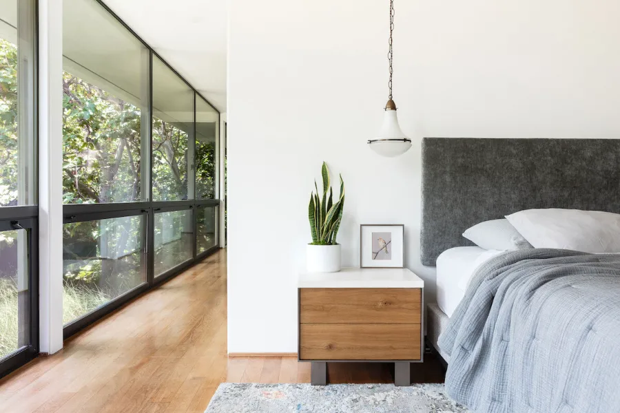 Cây lưỡi hổ để trong nhà có tốt không?